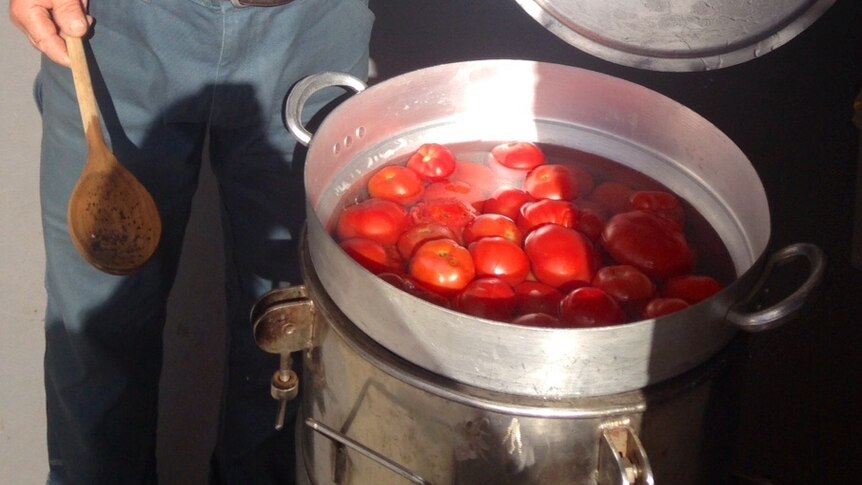 Robert Carnevale with a pot of tomatoes to make sauce for the family