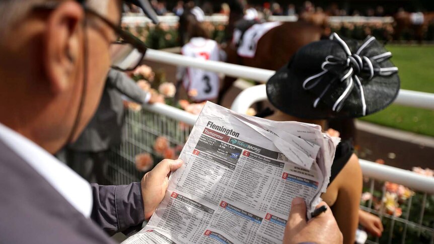 A punter examines the form early on Melbourne Cup day