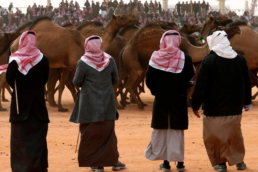 Saudi men stand next to camels as they participate in King Abdulaziz Camel Festival.