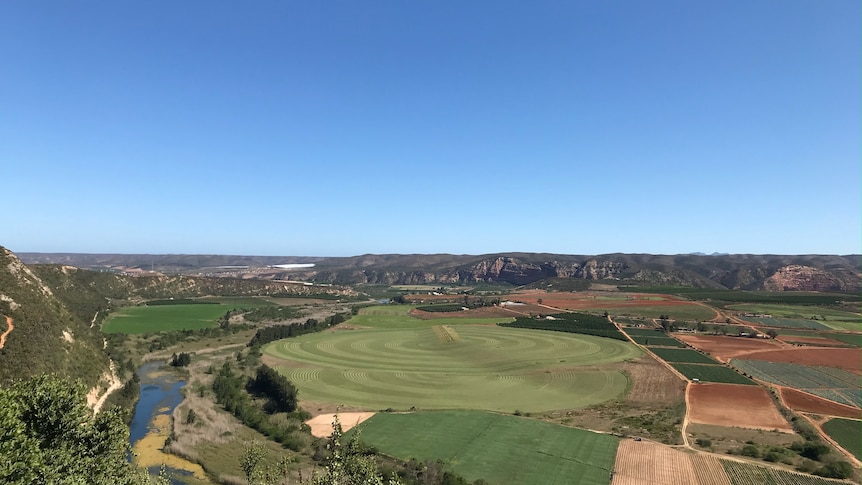 Farmland hemmed by an escarpment, as seen from a high vantage point.