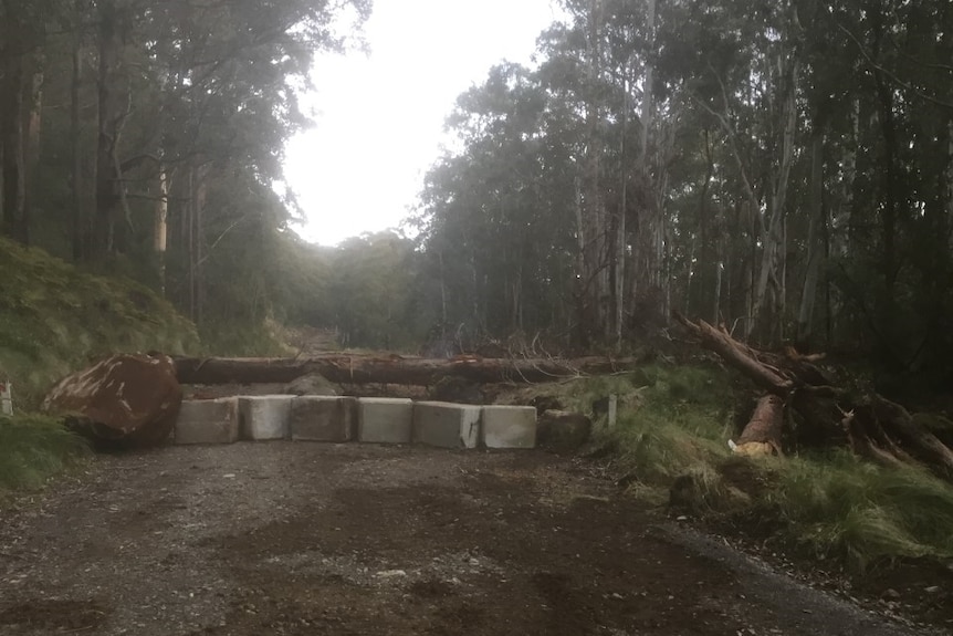 A gravel road through forest, with a barricade across it and some damage.