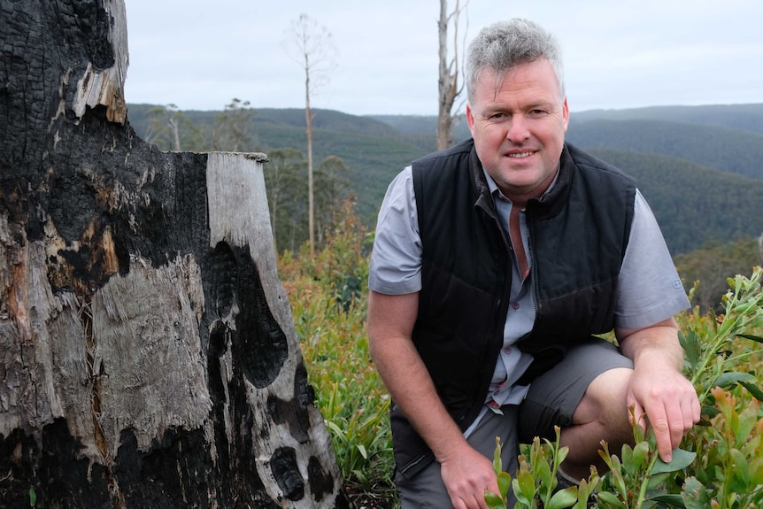 Dr Chris Taylor kneels beside a tree stump in the mountains.