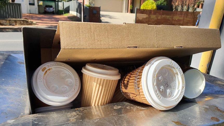 Four disposable coffee cup and a piece of cardboard in a bin