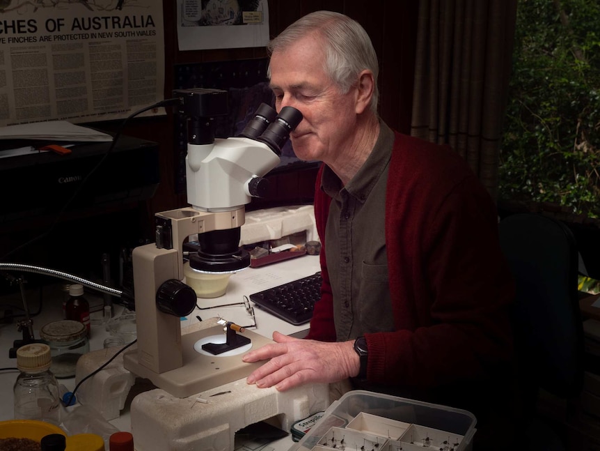 Michael Batley looking intro microscope