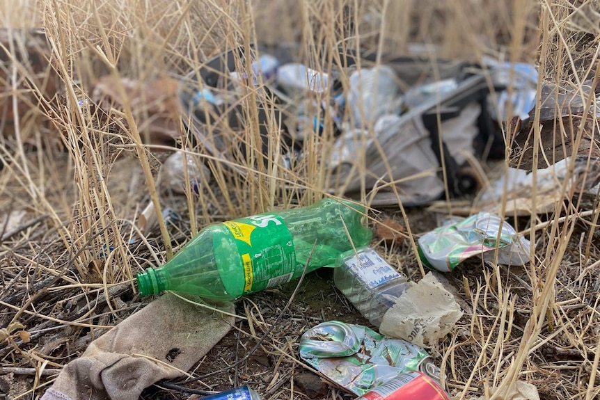 empty bottles and cans dropped as rubbish in long brown grass