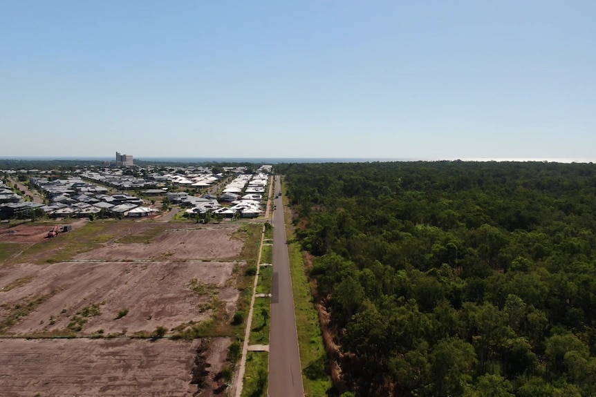 An aerial view of housing development and coastal bush divided by one road. 