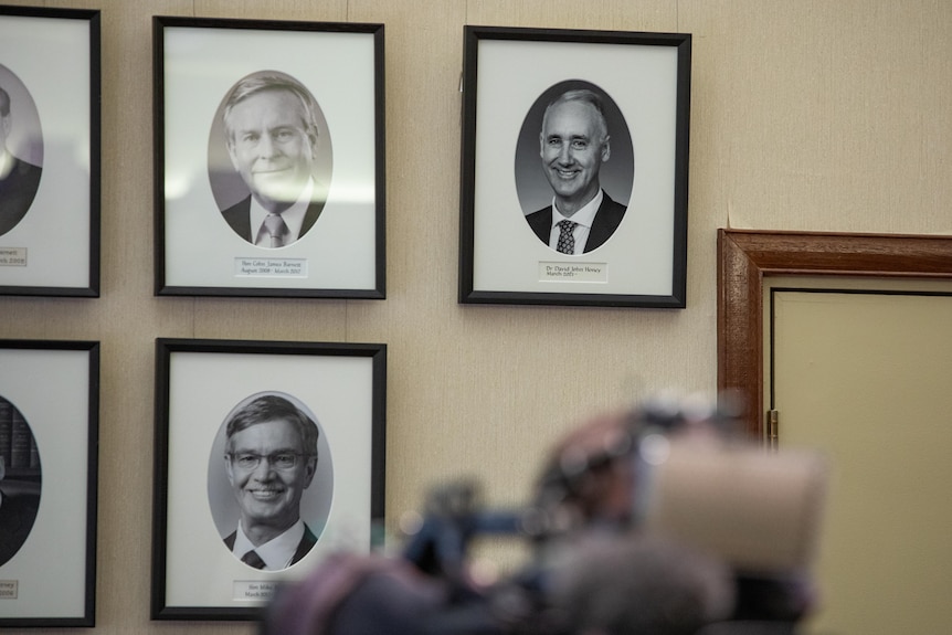 Framed photos on a wall with a camera in the foreground