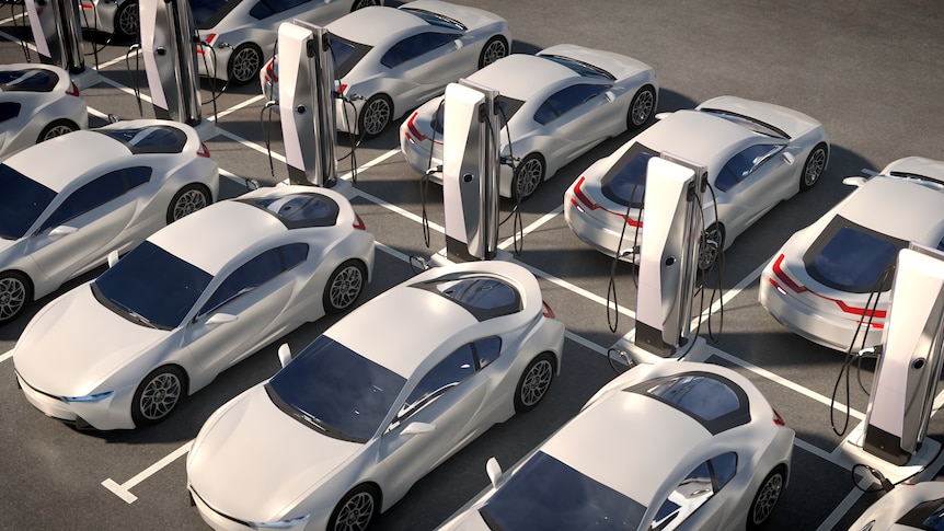 Two rows of identical white electric vehicles, lined up next to charging stations.