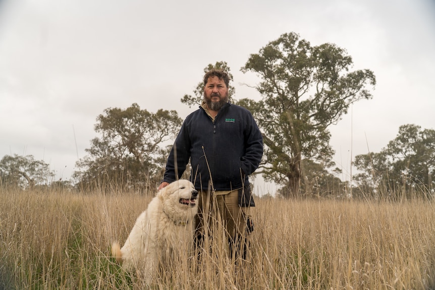 a man and a dog stand in a paddock.