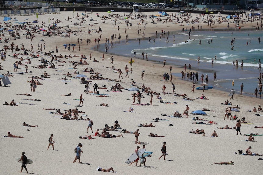 Hundreds of people swim and lie on the sand of a beach on a sunny day.