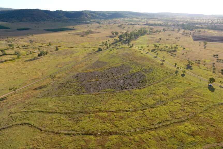 An aerial showing a triangle of dead grass in a large expanse of pasture.