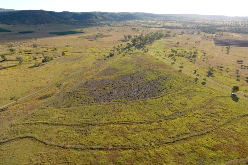 An aerial showing a triangle of dead grass in a large expanse of pasture.