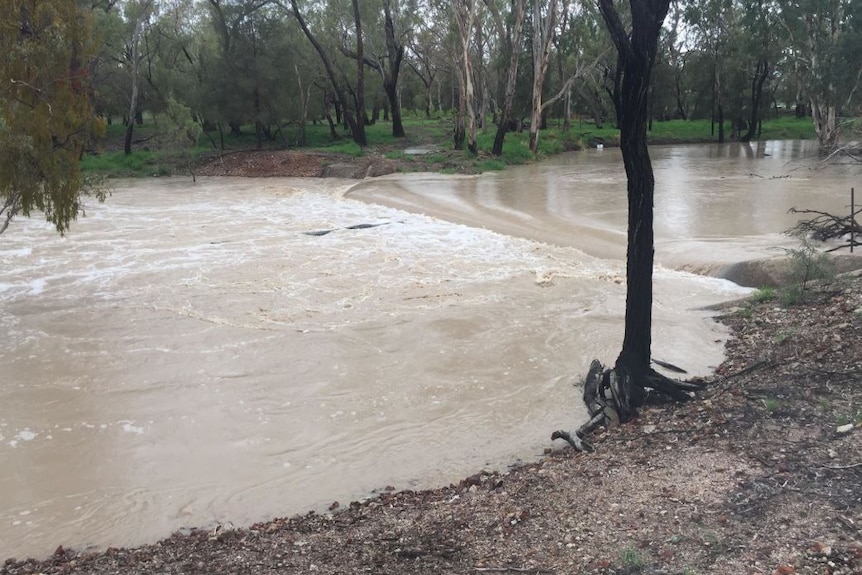 Flooding at Sharna Thorogood's property in the Western downs, Qld on February 8, 2020