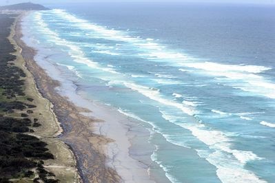 A huge oil slick blackens the sand of pristine beach near Cape Moreton on Moreton Island.