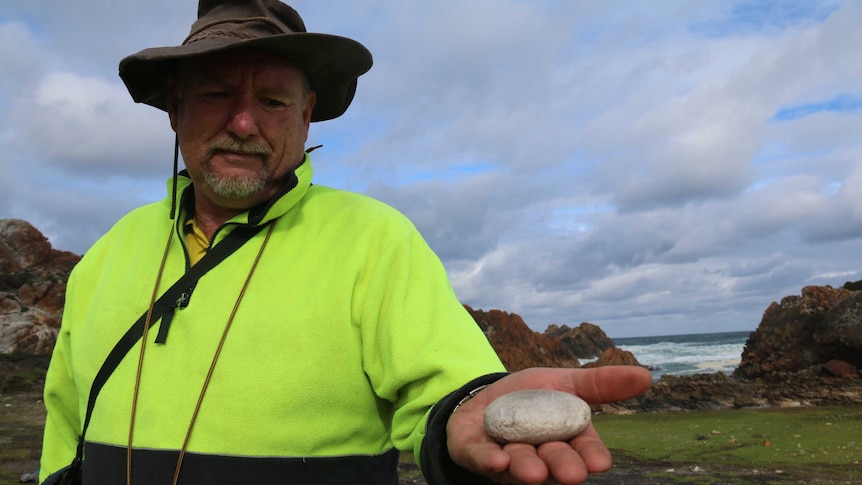 Caleb Pedder holds up a hammer stone as he stands on a midden on Tasmania's north-west coast.