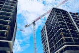 Apartments under construction in Sydney