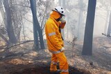 Kebakaran lahan di Queensland