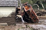 A search dog looks for victims in a damaged home after a mudslide.