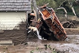A search dog looks for victims in a damaged home after a mudslide.