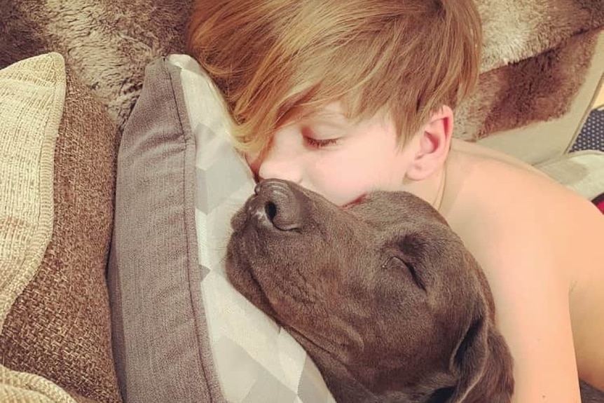 A dog sleeps with a boy