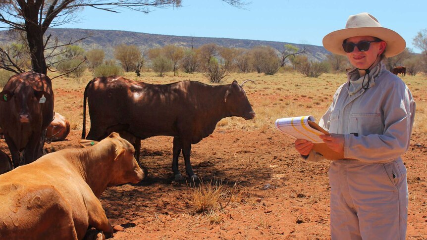 Woman standing with a clipboard next to some cows lying down