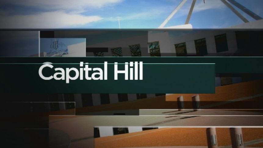 Capital Hill Friday 15 August 2014