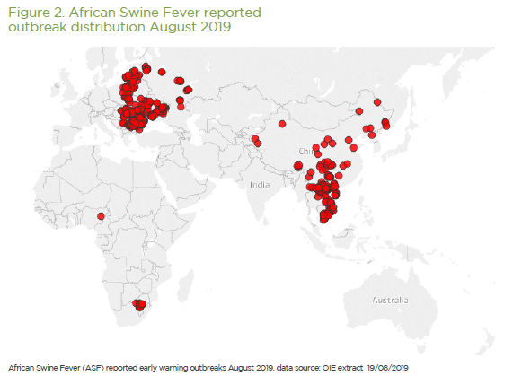 This chart outlines early warning outbreaks of African swine fever in August 2019.