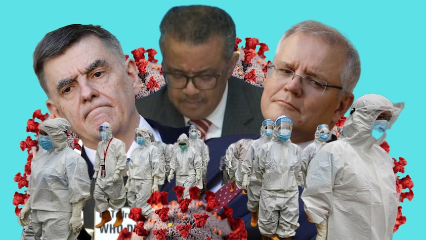 A collage of images of the COVID-19 virus, Brenden Murphy, Tedros Adhanom Ghebreyesus, Scott Morrison and people in PPE. 