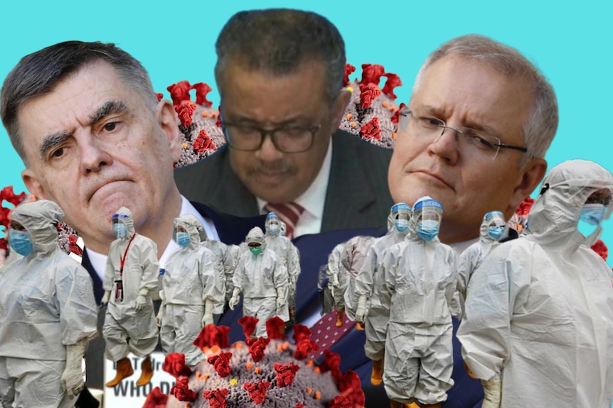 A collage of images of the COVID-19 virus, Brenden Murphy, Tedros Adhanom Ghebreyesus, Scott Morrison and people in PPE. 