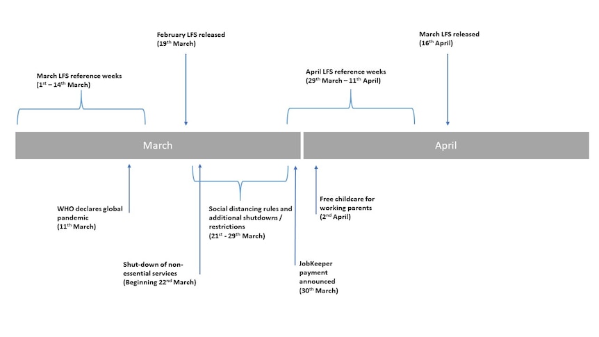 A timeline showing when the labour force figures were collected compared to coronavirus developments