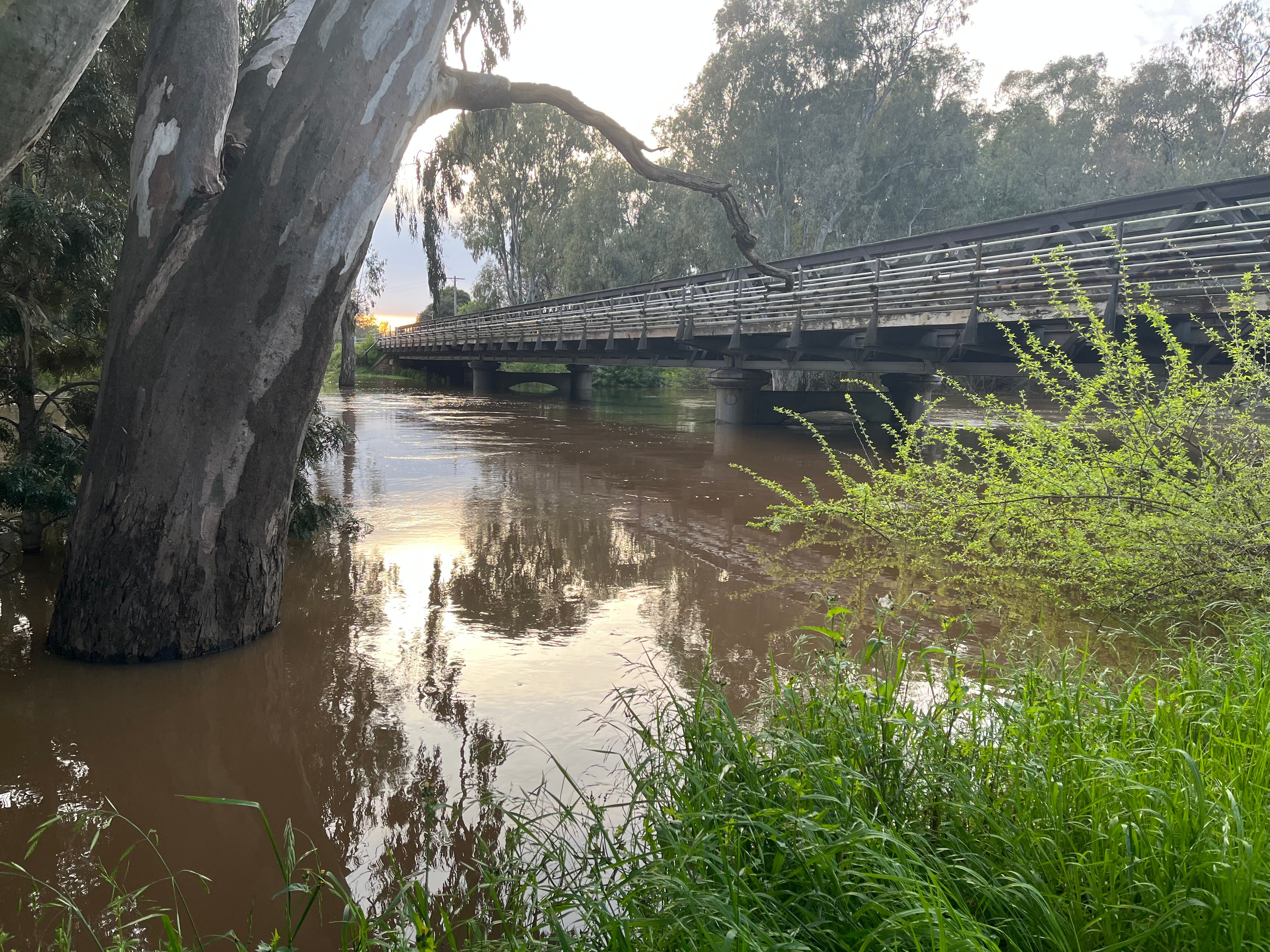 A bridge above a swollen river.