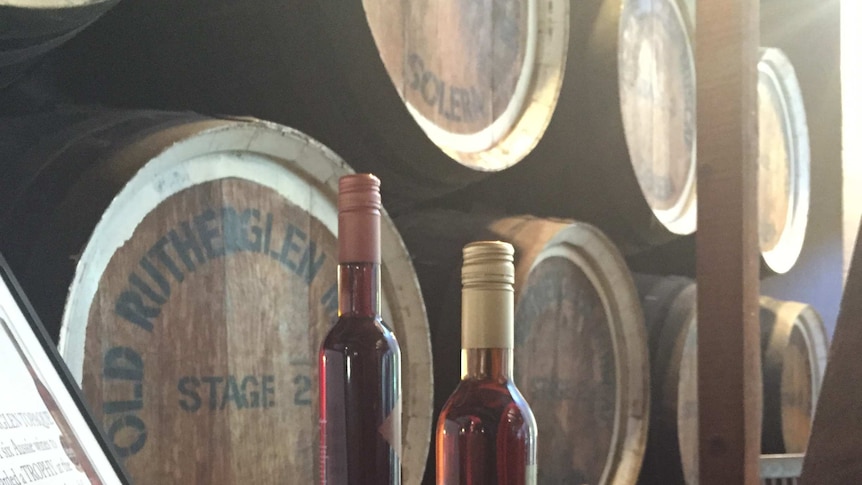 The morning sun hits wine bottles at Rutherglen