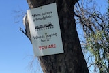 Sign on tree in a farm field that protests 16km inland rail line proposed to be built on floodplain at Millmerran