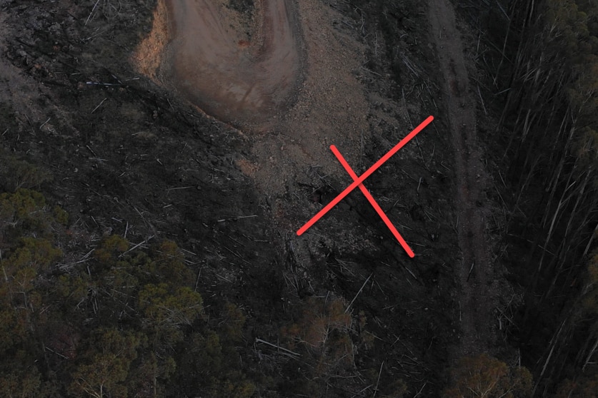 A red X marks the location of an alleged breach, on a dark photo of a logging site in a forest.