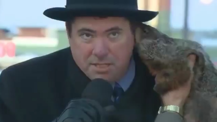 Mayor bitten by groundhog