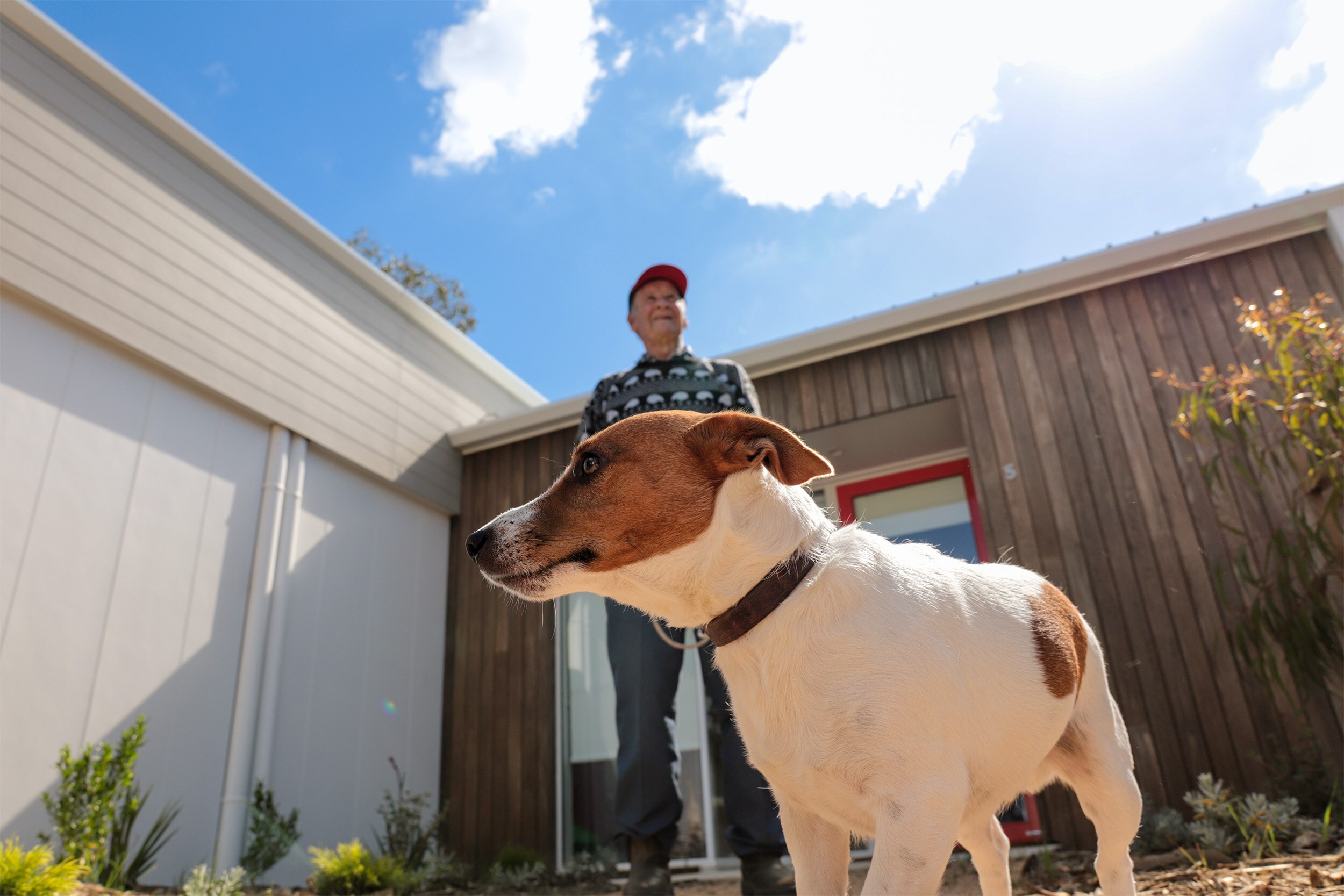 Jack Russel dog stands in foreground with older man smiling in background, standing in front of newly built home