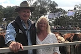 A man and a woman stand smiling in front of cattle at saleyards.
