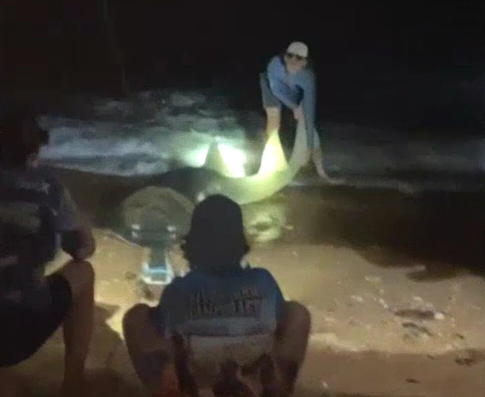 Teen fishers relive catching 'uncommonly large' sawfish during
