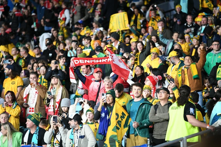 Crowd at Denmark game.