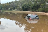 A black Ford Territory half submerged in a creek.