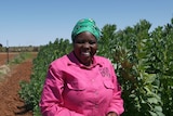 A Burundian woman standing in front of broad beans smiling.