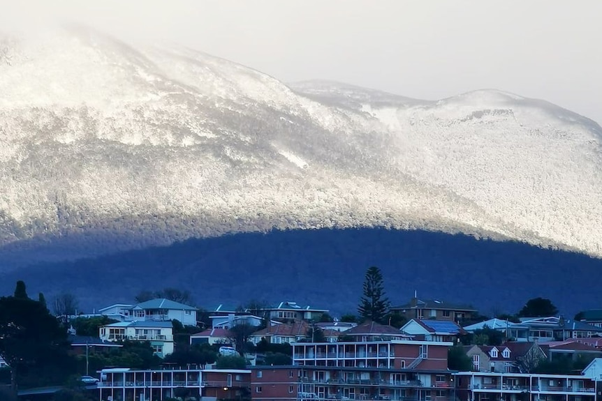 从塔斯马尼亚的贝勒里夫海滩看到的惠灵顿山上的雪。