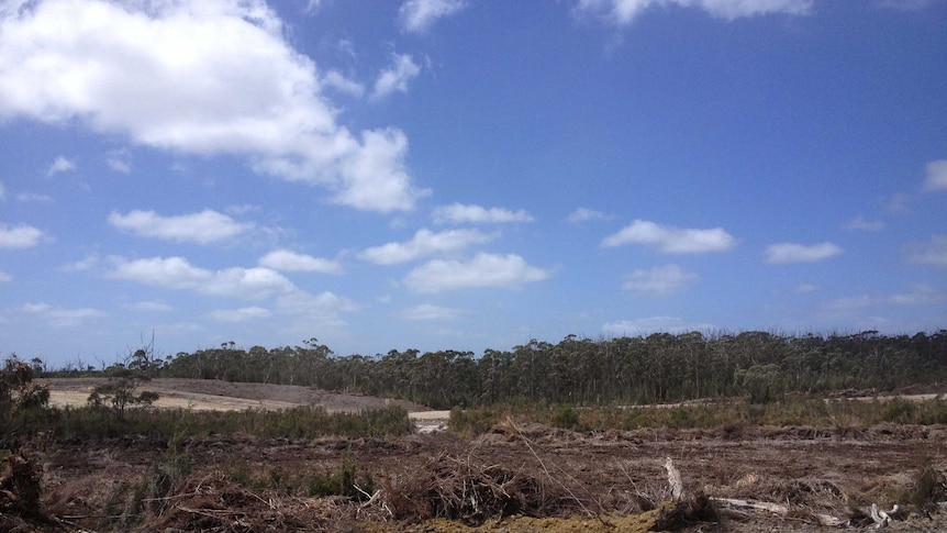 Shree minerals Nelson Bay River Mine