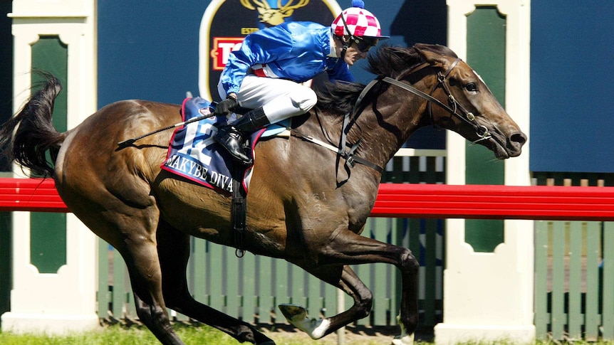 Makybe Diva wins 2003 Melbourne Cup