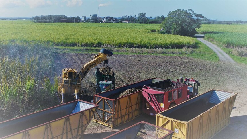 View from top of cane paddock, with a harvester operating in the field and mill in the background