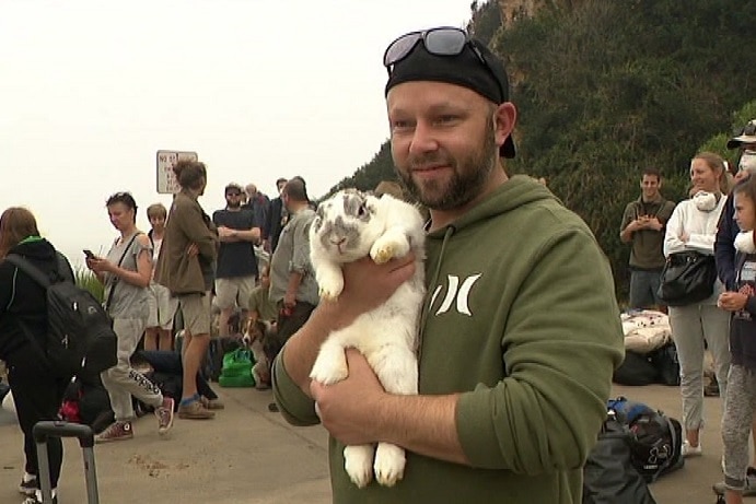 A man with a green jumper holds a rabbit.