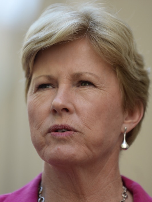 Australian Greens leader Christine Milne speaks to the media during a press conference in Canberra, Monday, February 10, 2014