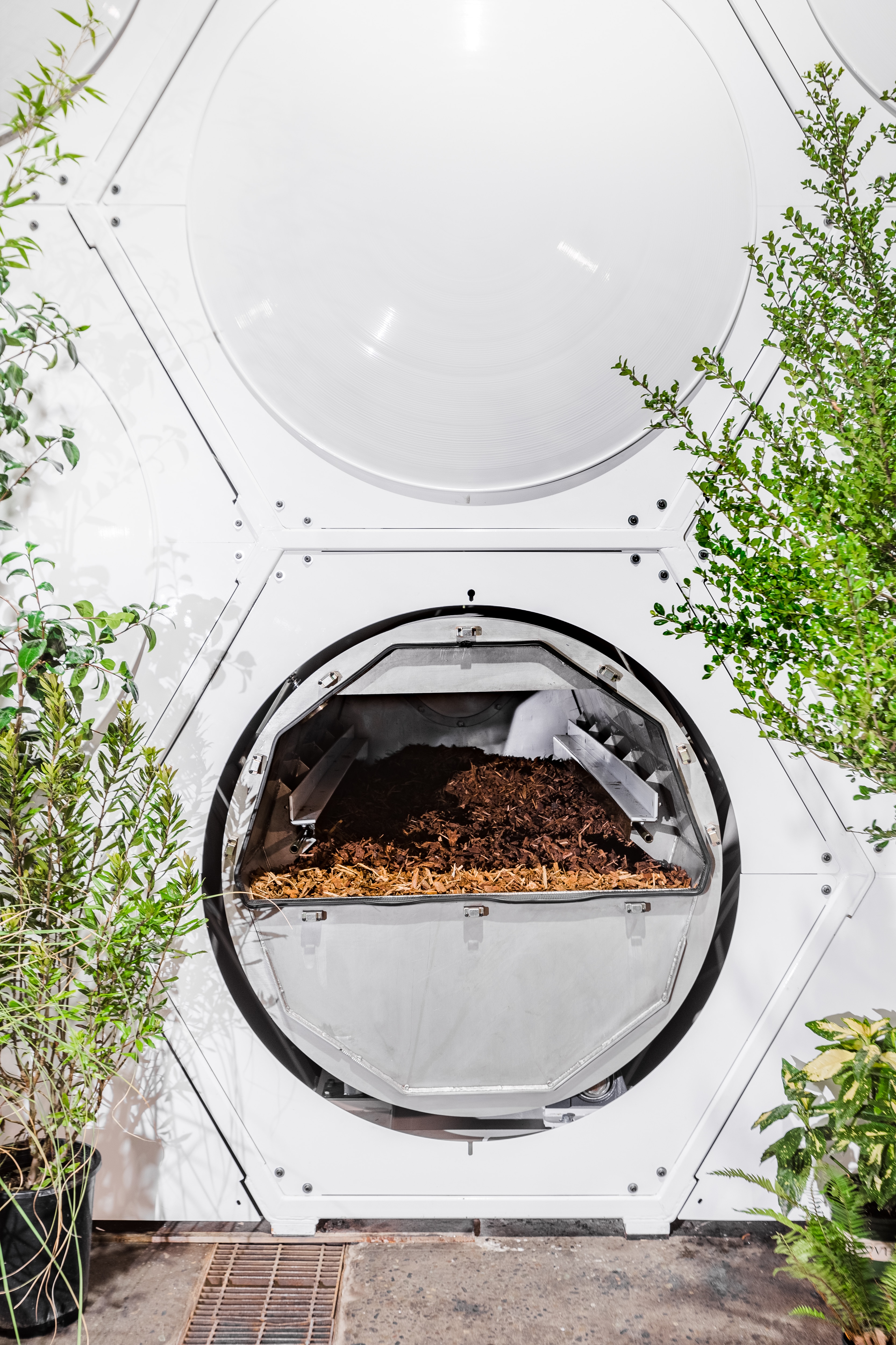 Sydney MP moves bill to make human composting a reality