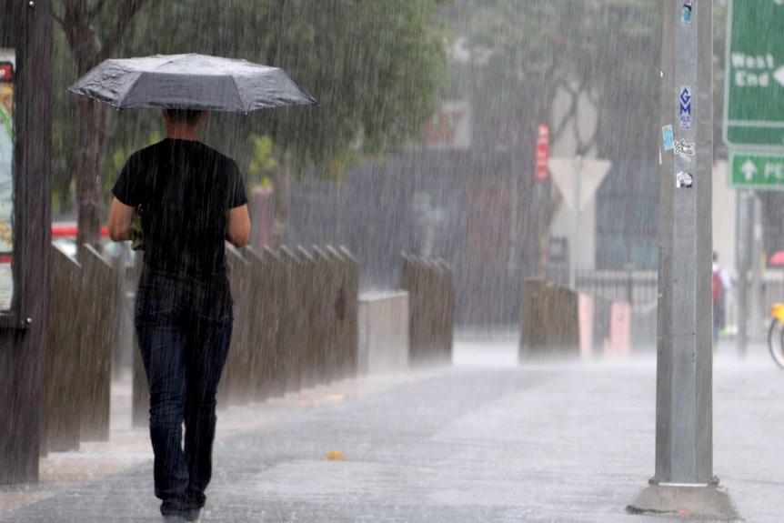 A man with an umbrella walks through the rain at South Brisbane.