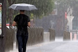 A man with an umbrella walks through the rain at South Brisbane.